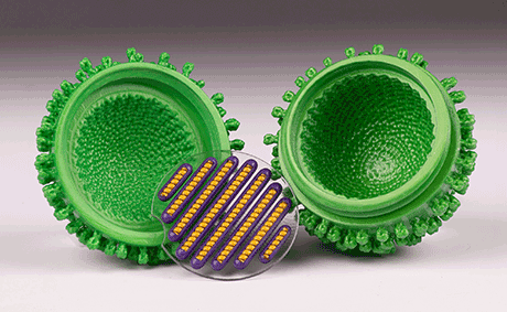 NMNH-Viruses-Flu_2